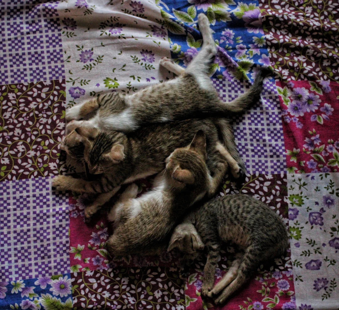 The Sleeping Position Factor Find Your Ideal Topper