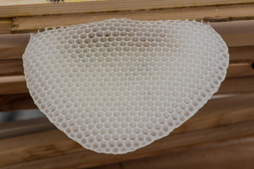 The Future of Mattress Toppers Innovations Ahead