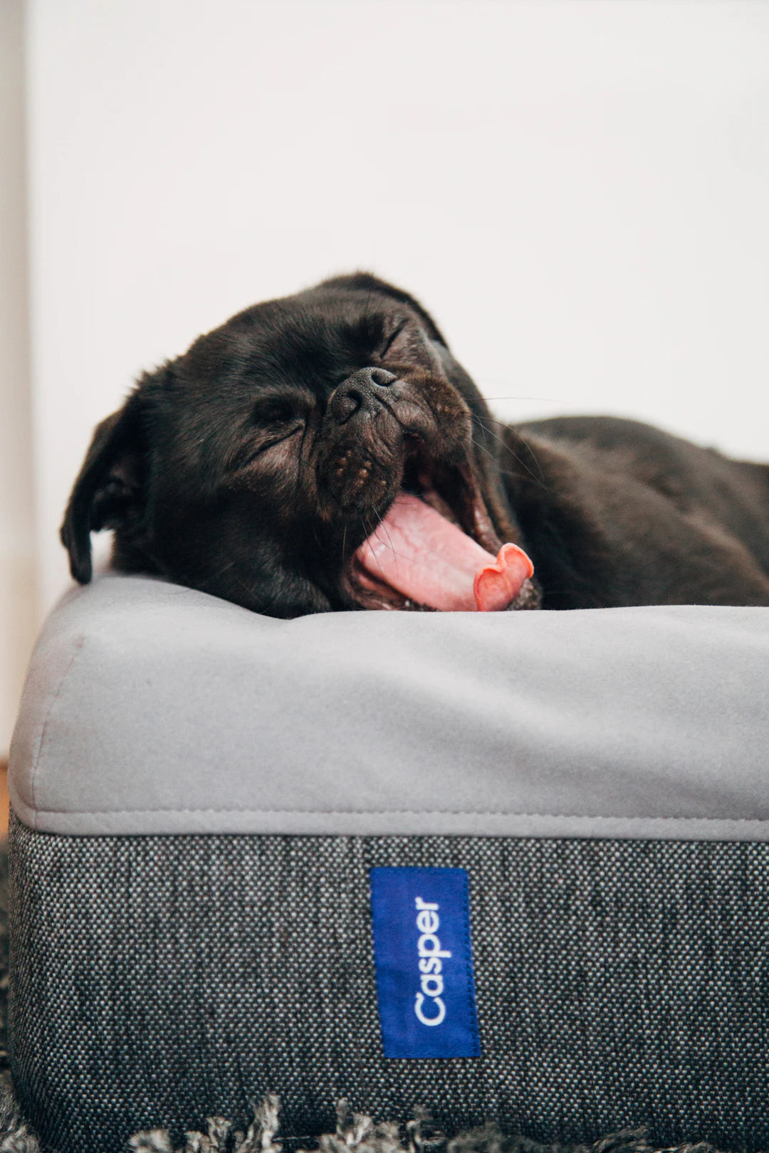Should You Invest in a Mattress Topper